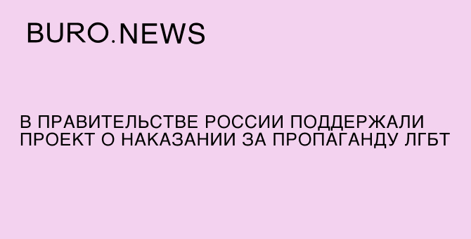 В правительстве России поддержали проект о наказании за пропаганду ЛГБТ