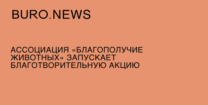 Ассоциация «Благополучие животных» запускает благотворительную акцию