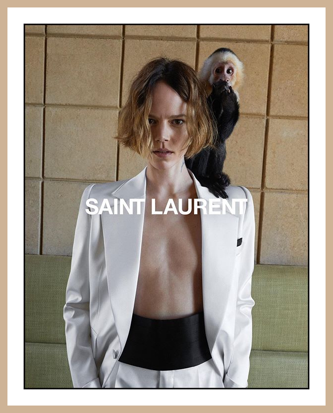 Фрея Беха позирует с обезьянкой в кампании Saint Laurent