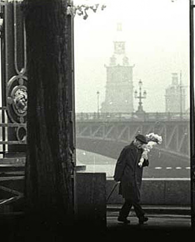 \"Владимир Богданов. Среди своих\" в центре фотографии им. Братьев Люмьер